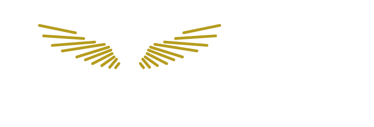 Guardian Angels PC Support Logo Wight